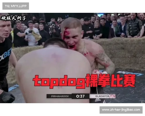 震撼!街头裸拳生死对决:暴力美学的极致诠释 震撼!街头裸拳生死对决:暴力美学的极致诠释